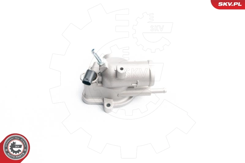 Thermostat, coolant